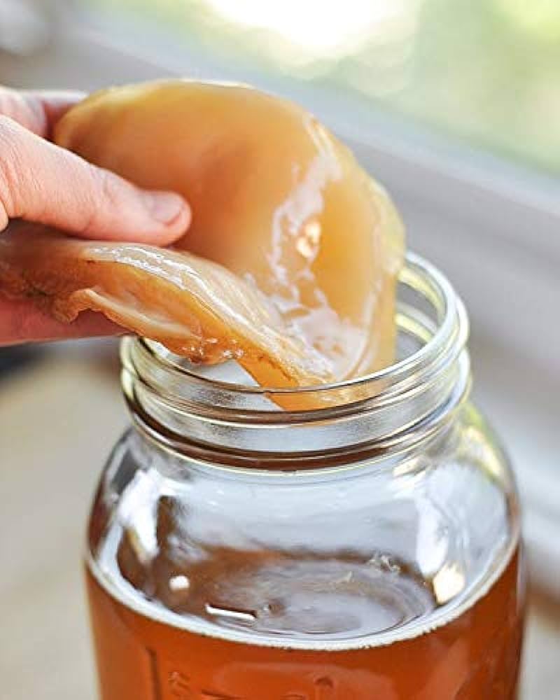 scoby
